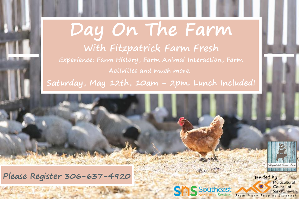 Day on the Farm with Fitzpatrick Farm Fresh