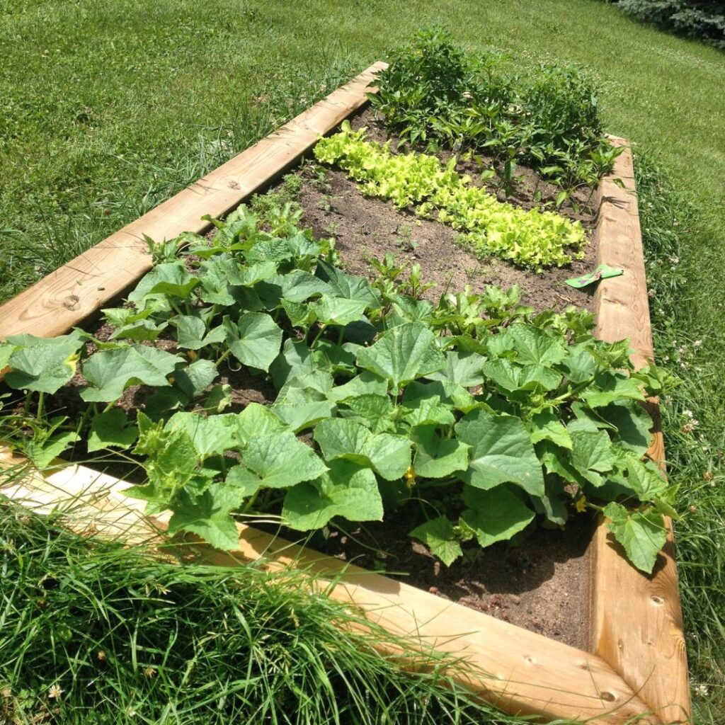 Weyburn Community Gardens