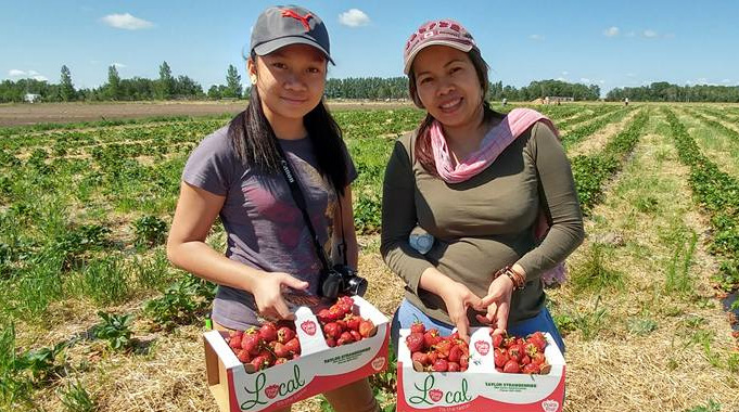 Strawberries